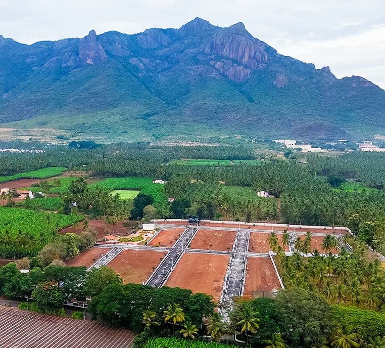 Overview 3