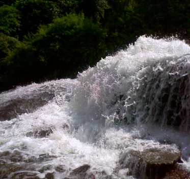 A beautiful forest waterfall with cascading white water bound by lush and colourful flora